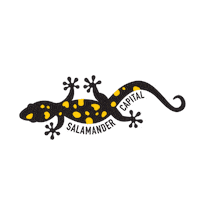 National Geographic Travel Sticker by Nat Geo CreativeWorks