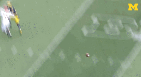 College Football Mood GIF by Michigan Athletics