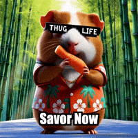 GIF by Guinea Gambino