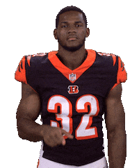 Cincinnati Bengals Stickers Sticker by NFL
