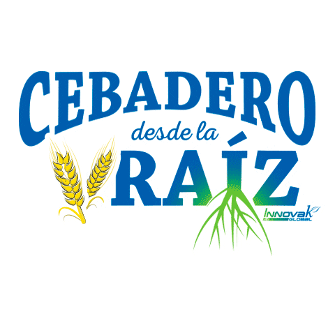 Cebada Sticker by Innoval Global