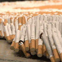 GIF by BBC Shorts