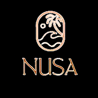 thenusastore  GIF