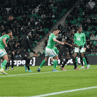 Sport Rage GIF by AS Saint-Étienne