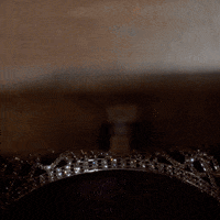 GIF by Insatiable