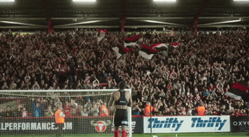 Ecfc GIF by Exeter City Football Club