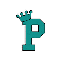 Skate Skating Sticker by primeskatepark