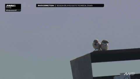 Motorcycle Hanging Out GIF by MotoGP™