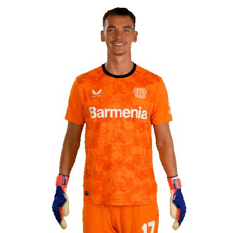 Lets Go Soccer Sticker by Bayer 04 Leverkusen