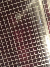 framebeta GIF by GIPHY Frame