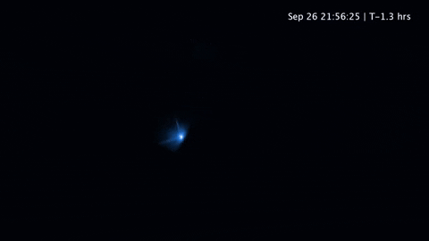 stevewalther giphygifmaker GIF