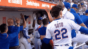 Celebrate Home Run GIF by New York Mets