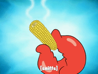 season 8 spongebob's runaway roadtrip: patrick's staycation GIF by SpongeBob SquarePants