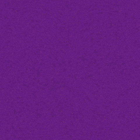 wingsart giphyupload fight angry women GIF