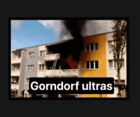 PvtSteiner saalfeld pvtsteiner pvtgucci gorndorf GIF