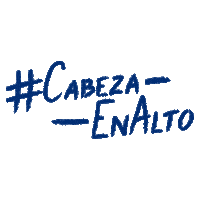 head and shoulders hs Sticker by P&G México