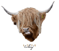 Cow Moo Sticker by Love Lindsey