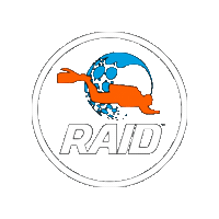 DiveRaid logo sticker diving scuba Sticker