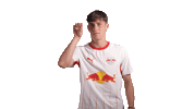 Red Bull Goal Sticker by RB Leipzig