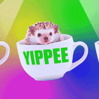 Yippee GIF by SKIPPY Peanut Butter