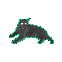 Black Cat Halloween Sticker by Rod Kim