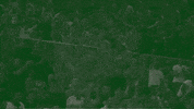 Olimpija Ljubljana GIF by kkcedevitaolimpija