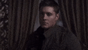 Porrada Murro GIF