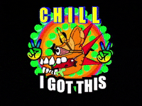 Trust Us I Got This GIF