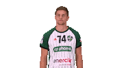 High Five Handball-Bundesliga Sticker by LIQUI MOLY HBL