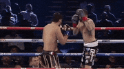 toprank fight boxing fighting espn GIF