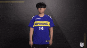 Overwatch Reaction GIF by Boston Uprising