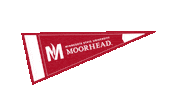 Flag Dragons Sticker by Minnesota State University Moorhead