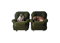 Sticker Dogs Sticker