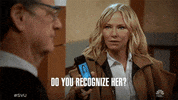 GIF by SVU