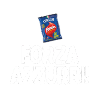 Italia Nazionale Sticker by Fonzies