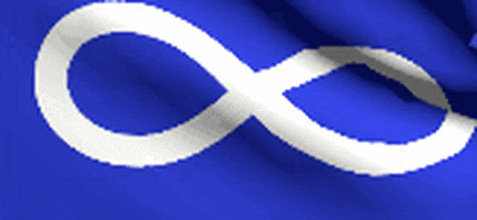 miyotehew giphyupload flag flags indigenous GIF