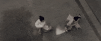 GIF by Crouching Tiger, Hidden Dragon 
