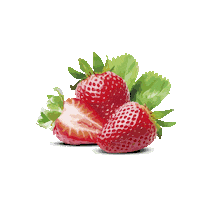 icecream naturaleza Sticker