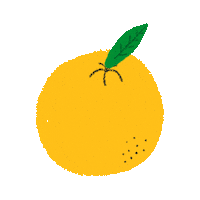 Orange Fruit Sticker