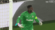 Europa League Football GIF by UEFA