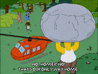 homer simpson GIF