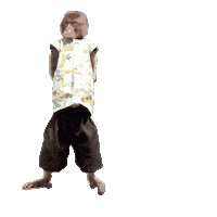 Fun Monkey Sticker