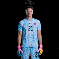 Fifa World Cup Switzerland GIF by Respective