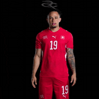 Fifa World Cup Switzerland GIF by Respective