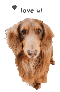 Goochew Sticker