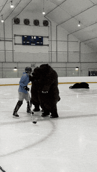 heroboardfitness fight hockey beatdown hockeyfight GIF