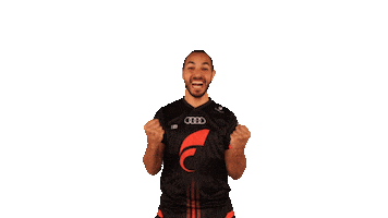 Goal Celebrate Sticker by STARK ESPORTS