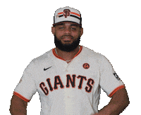 San Francisco Giants Sport Sticker by MLB