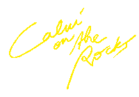 music festival Sticker by Calvi on the Rocks