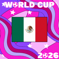 World Cup Futbol GIF